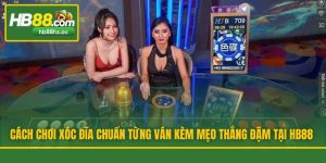 Cách Chơi Xóc Đĩa Chuẩn Từng Ván Kèm Mẹo Thắng Đậm Tại HB88