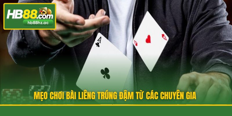 Mẹo chơi bài Liêng trúng đậm từ các chuyên gia