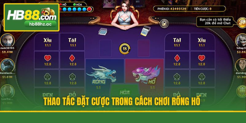 Thao tác đặt cược trong cách chơi Rồng Hổ
