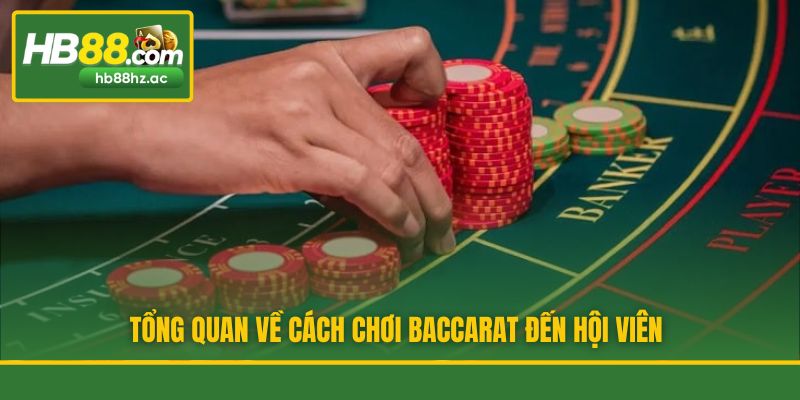 Tổng quan về cách chơi Baccarat đến hội viên